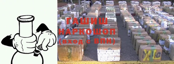 стаф Магас