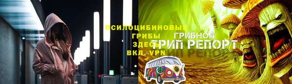 стаф Магас