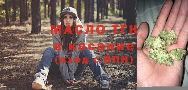 стаф Магас