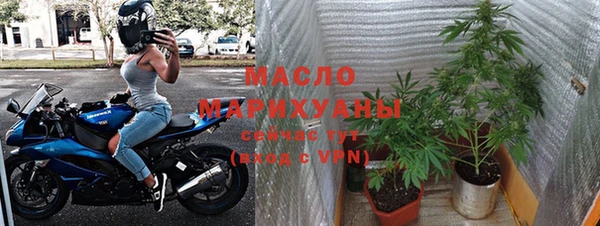 молекула духа Магадан