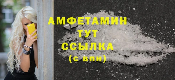 стаф Магас