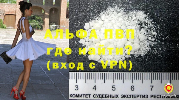 молекула духа Магадан
