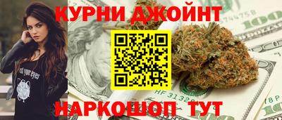 гидра Гатчина