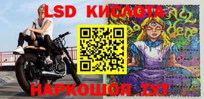 гидра Гатчина