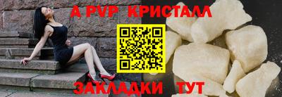 spice Гай