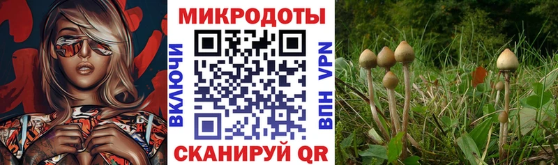 Галлюциногенные грибы GOLDEN TEACHER  Москва 