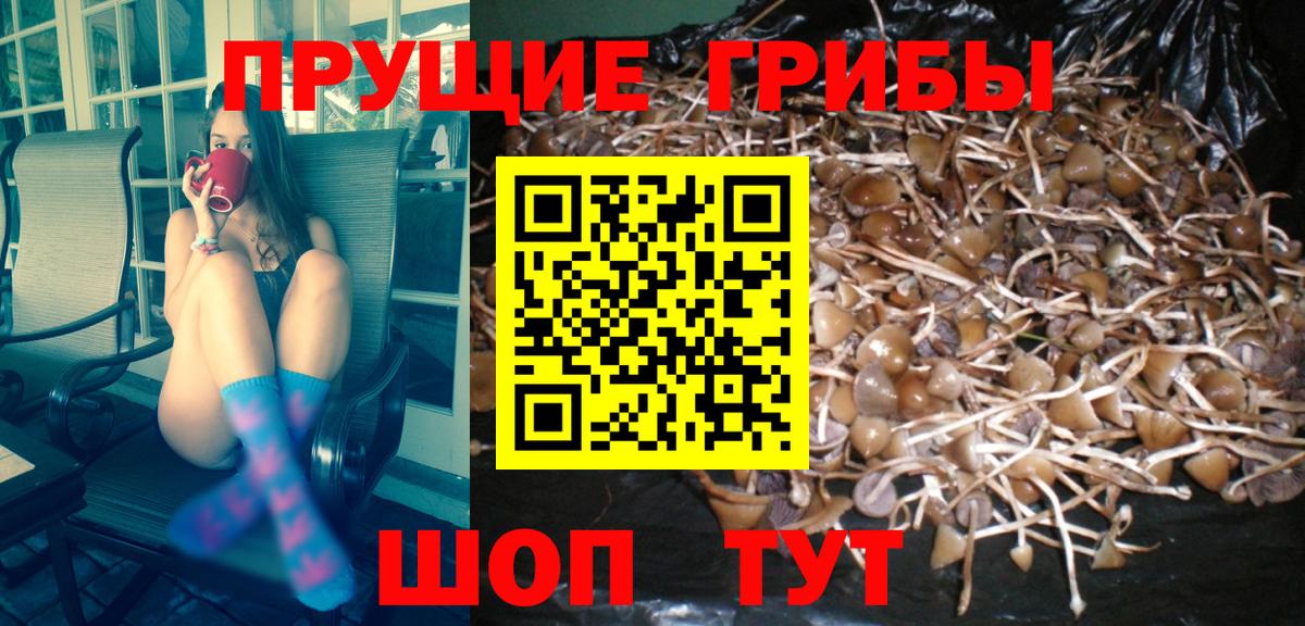 Псилоцибиновые грибы Magic Shrooms  Вход с VPN  Россия 