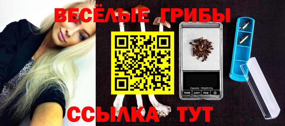 Россия  Псилоцибиновые грибы прущие грибы  Псилоцибиновые грибы MAGIC MUSHROOMS  Вход с VPN 
