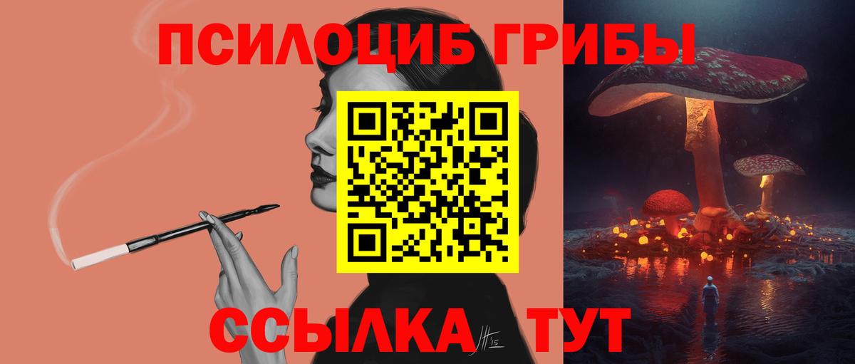 Галлюциногенные грибы GOLDEN TEACHER Россия