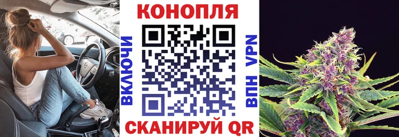 Марихуана конопля  Москва 